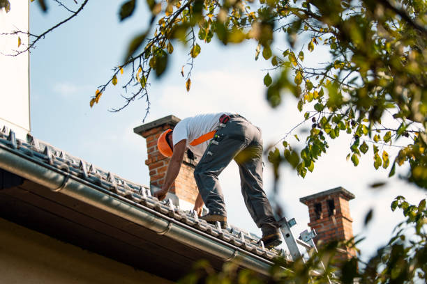 Best Flat Roof Repair Services  in Rifle, CO